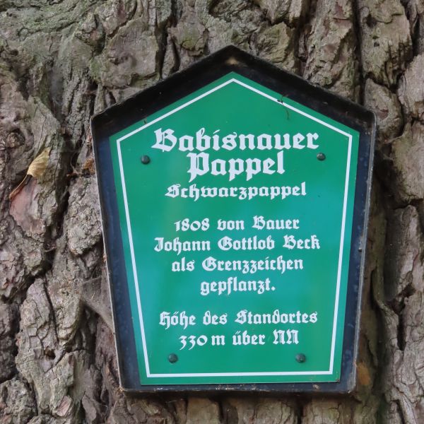 wrk001/MS100_Babisnauer Pappel_Schild (2022/10)