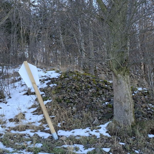Holzapfel unterhalb der Sachsenhöhe