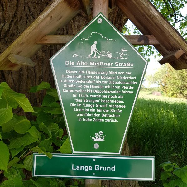 AL016 Linde Langer Grund Seifersdorf 01
Infotafel