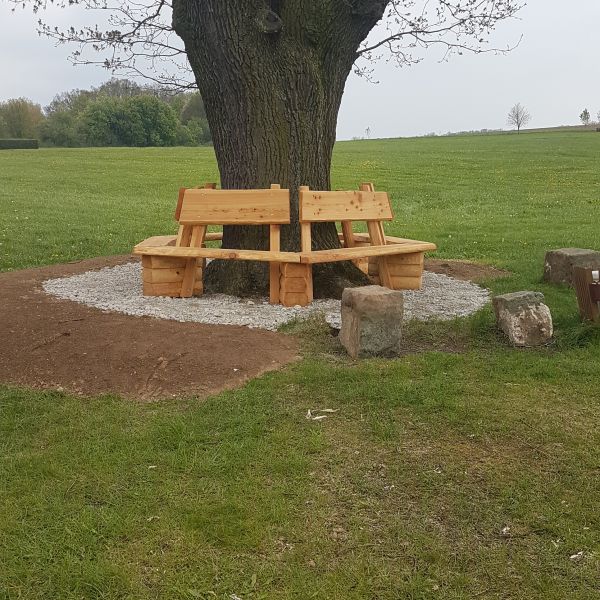 jens151_Stiel-Eiche in der Dippser Siedlung_Bank Stammfuß a (2024/05)