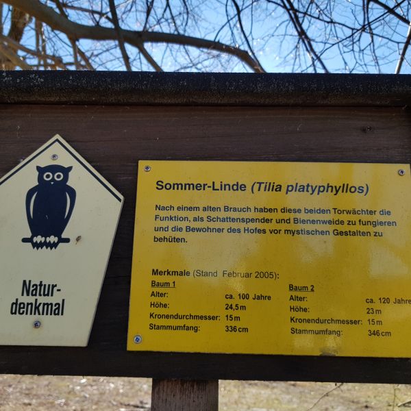 fg 009 Torwächter Linden Oberbobritzsch 02
Infotafel