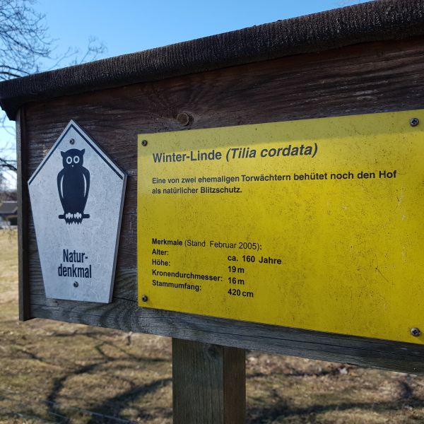 fg 016 Torwächterlinde Kleinhartmannsdorf 03
Infotafel