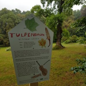 Foto: Antje Lindner
07/2022