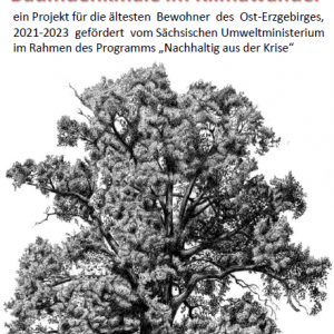 Baumdenkmalfaltblatt allgemein Jens
Nachhaltig aus der Krise