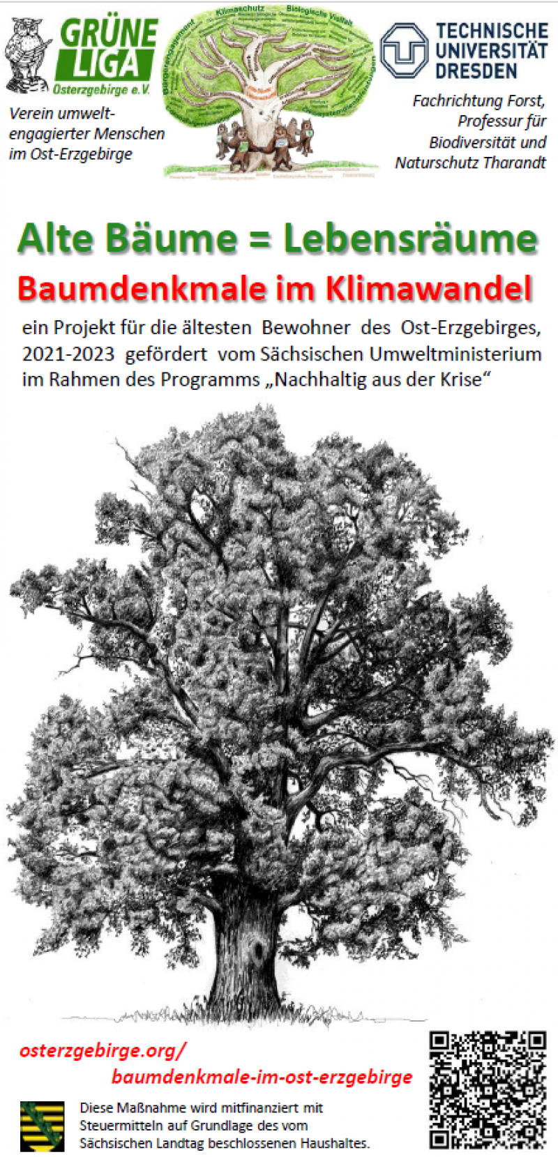 Baumdenkmalfaltblatt allgemein Jens
Nachhaltig aus der Krise