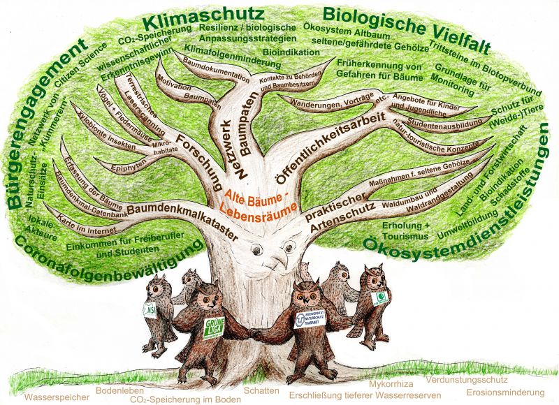Baumprojektgrafik Baumprojektgrafik von Jens