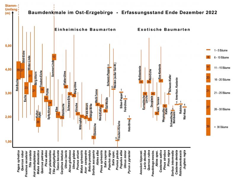 Erfassungsstand Baumarten durchschnittliche Umfänge Erfassungsstand Baumarten durchschnittliche Umfänge
Dezember 2022