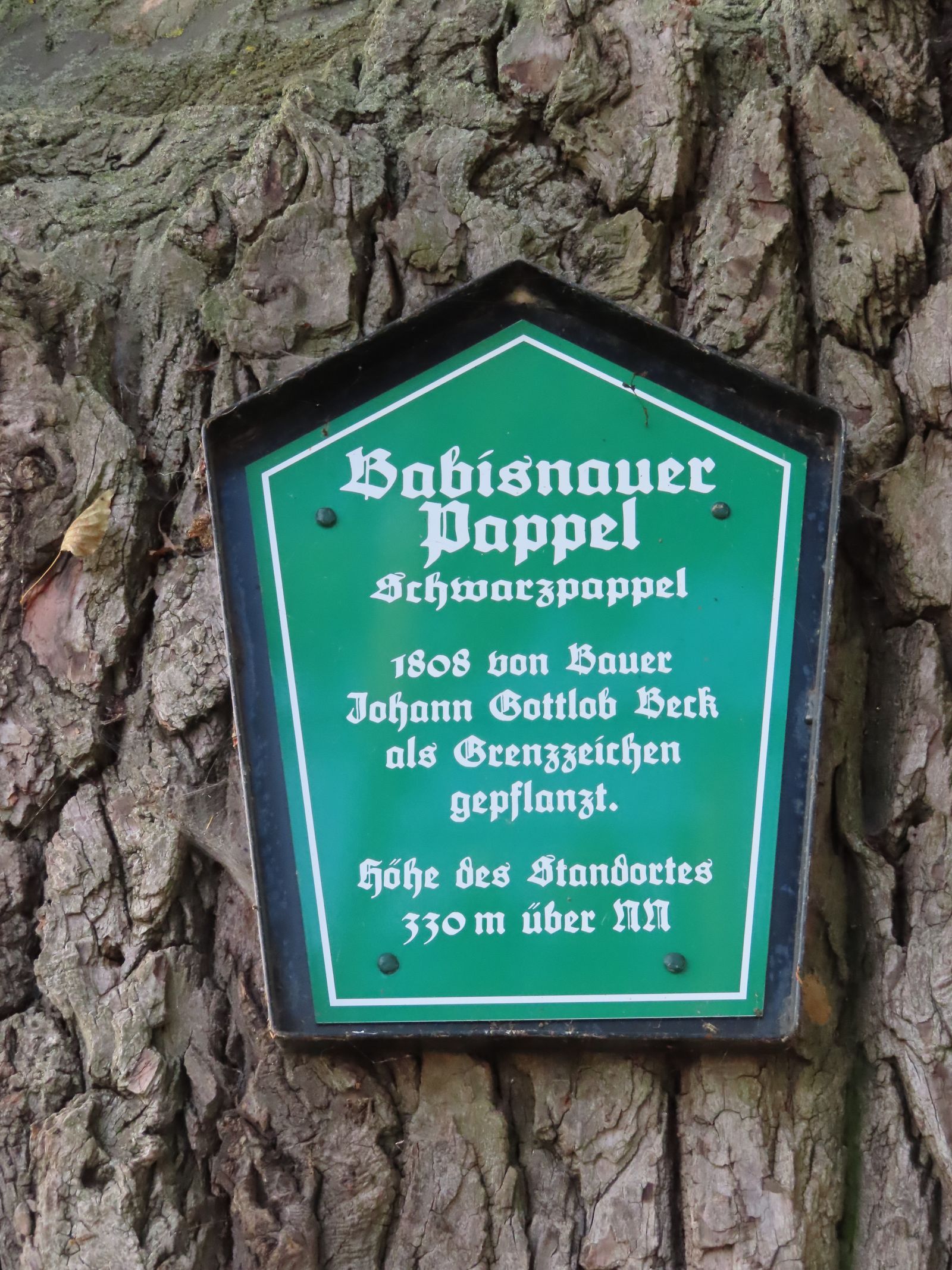 wrk001/MS100_Babisnauer Pappel_Schild (2022/10)