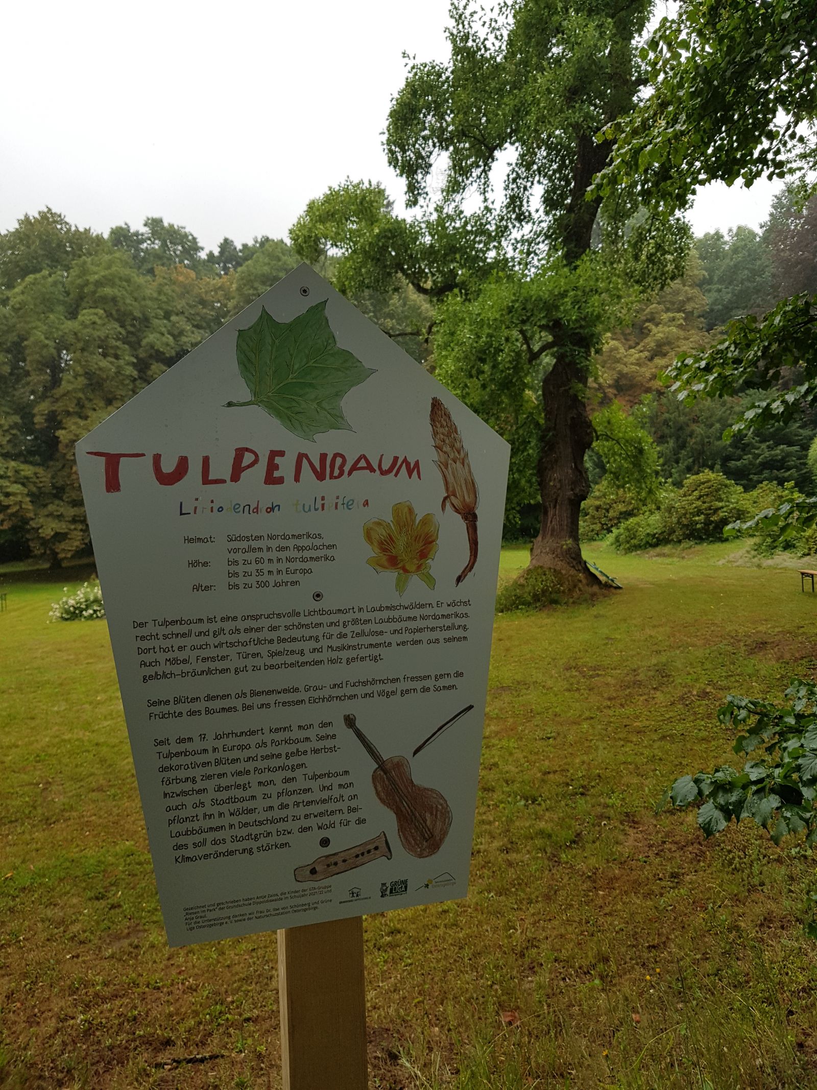 Foto: Antje Lindner
07/2022