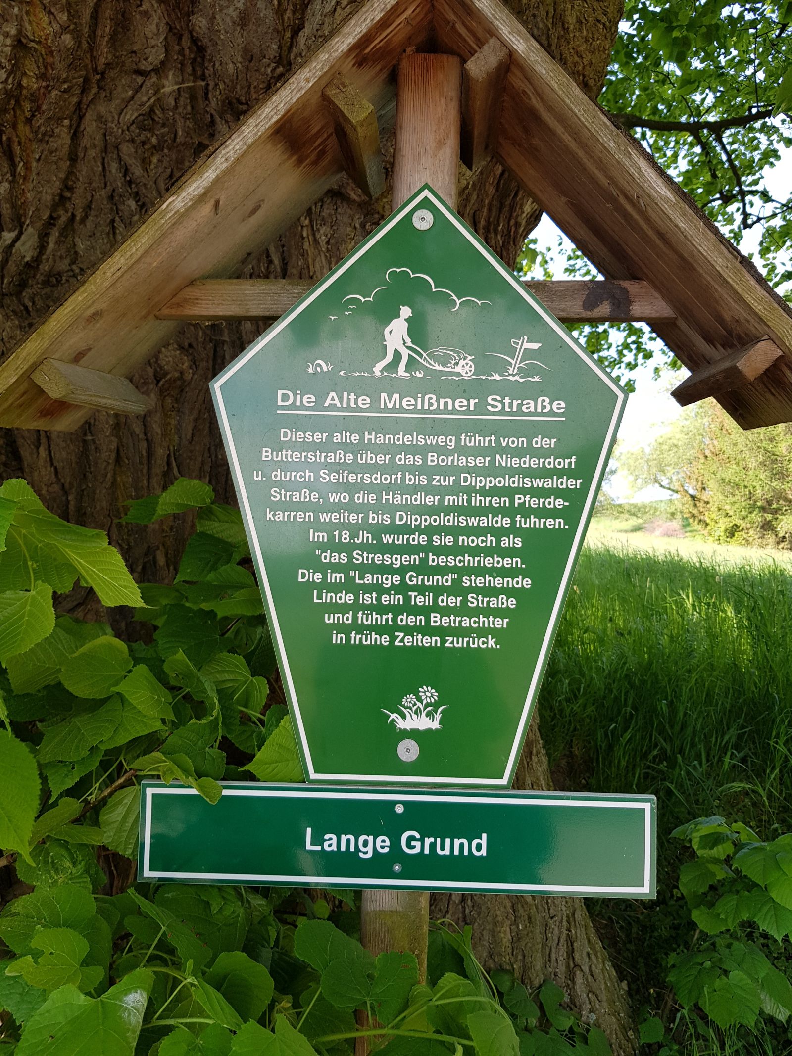 AL016 Linde Langer Grund Seifersdorf 01
Infotafel