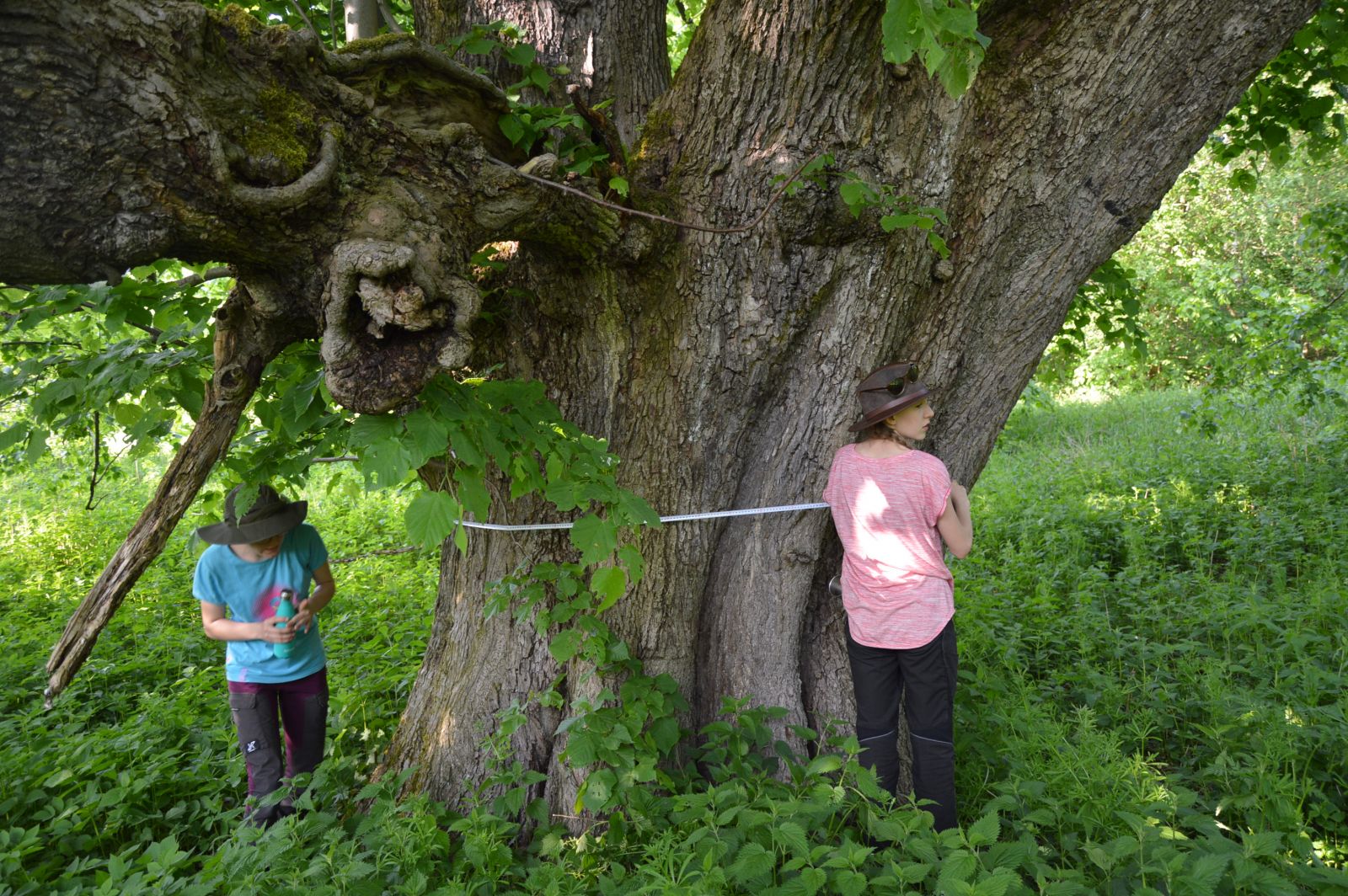 Foto: Babette Schreiter
05/2023