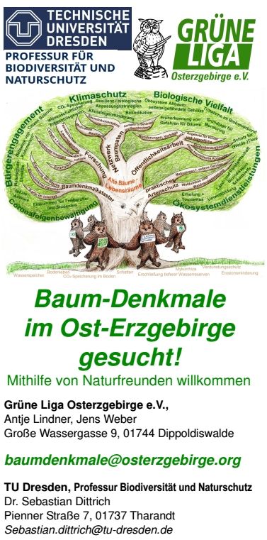 Faltblatt Baumdenkmale gesucht
Jens Weber