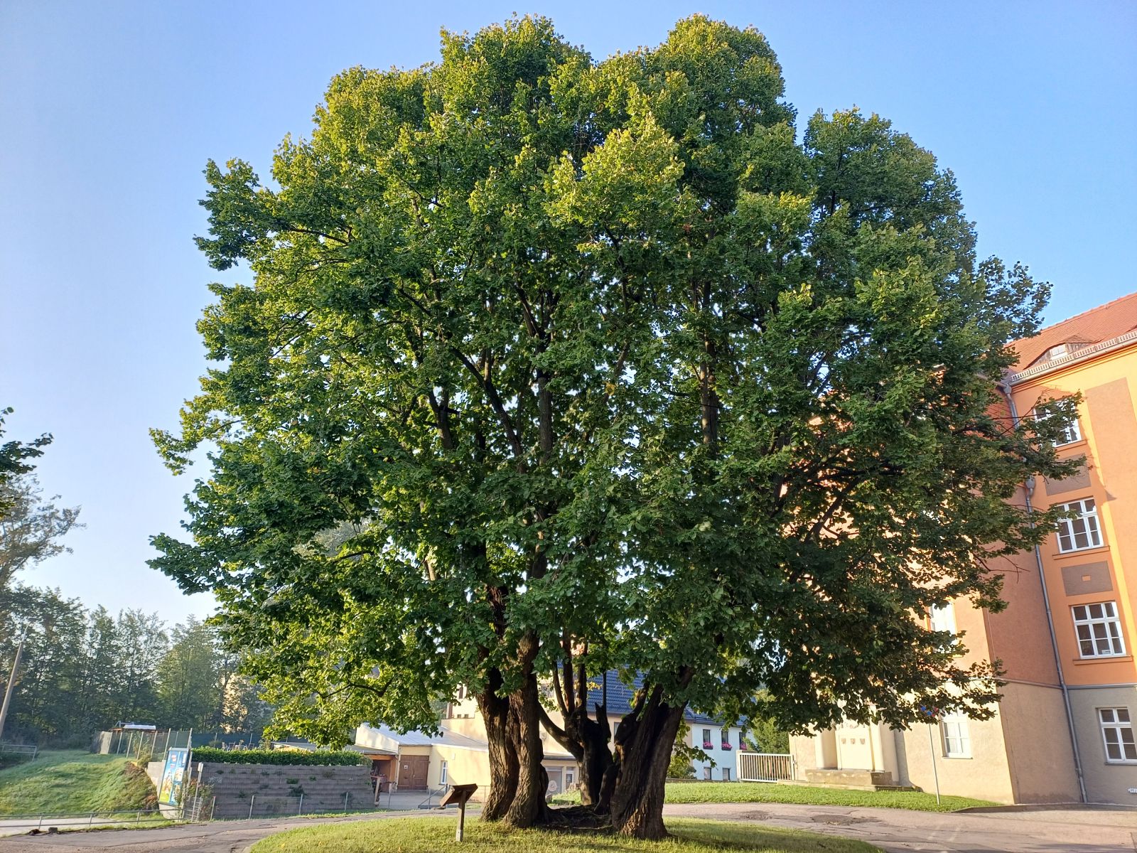 fg022_Thorstensson-Linde Freiberg (2024/09)