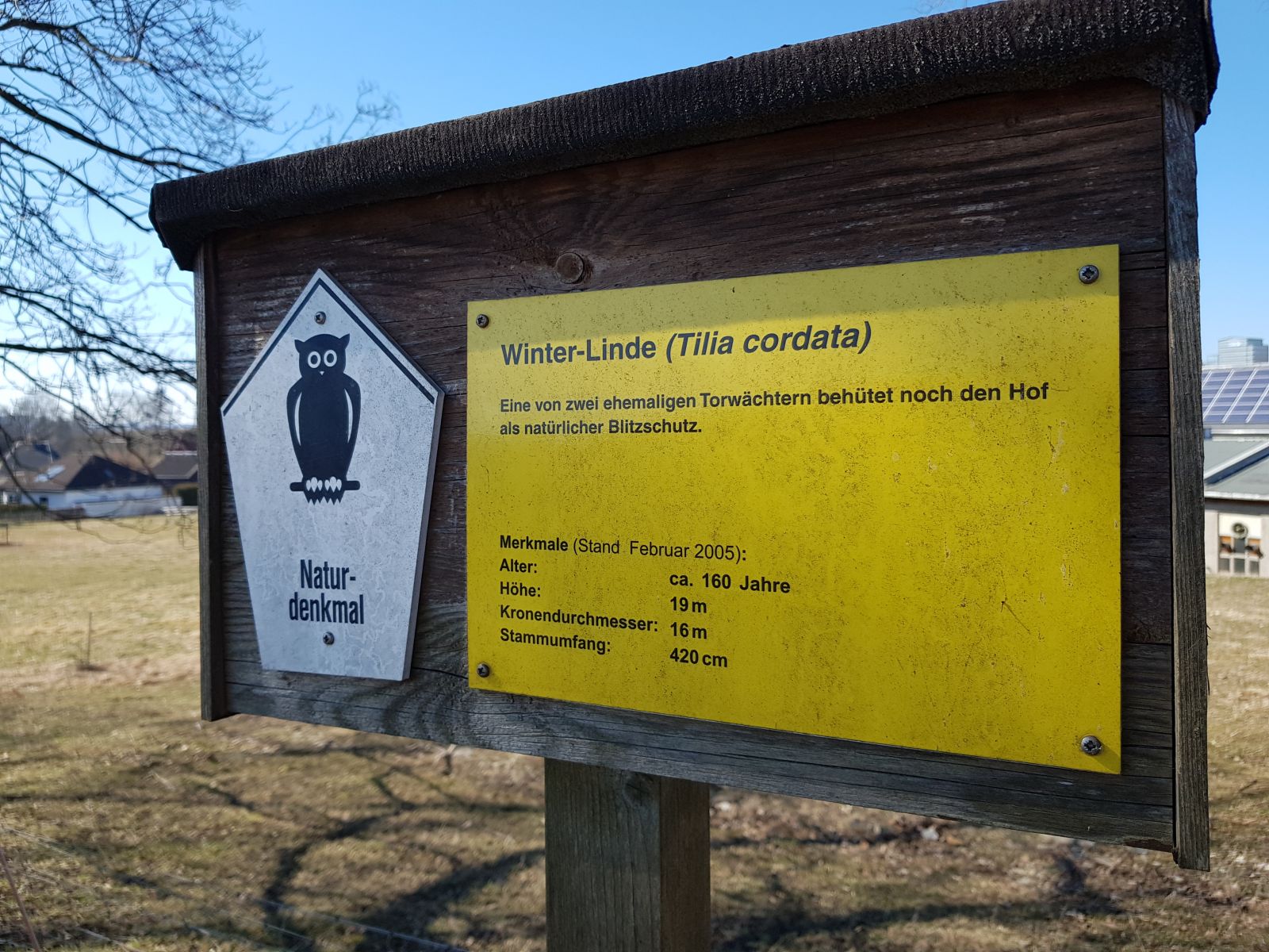 fg 016 Torwächterlinde Kleinhartmannsdorf 03
Infotafel